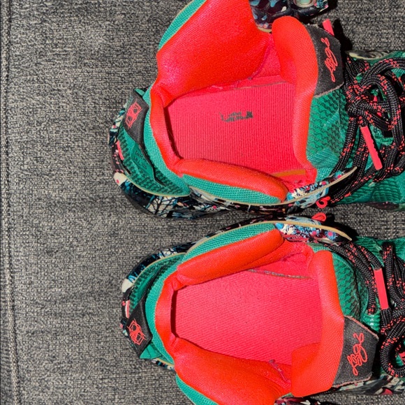 LeBron 12 Akron Birch main image 6